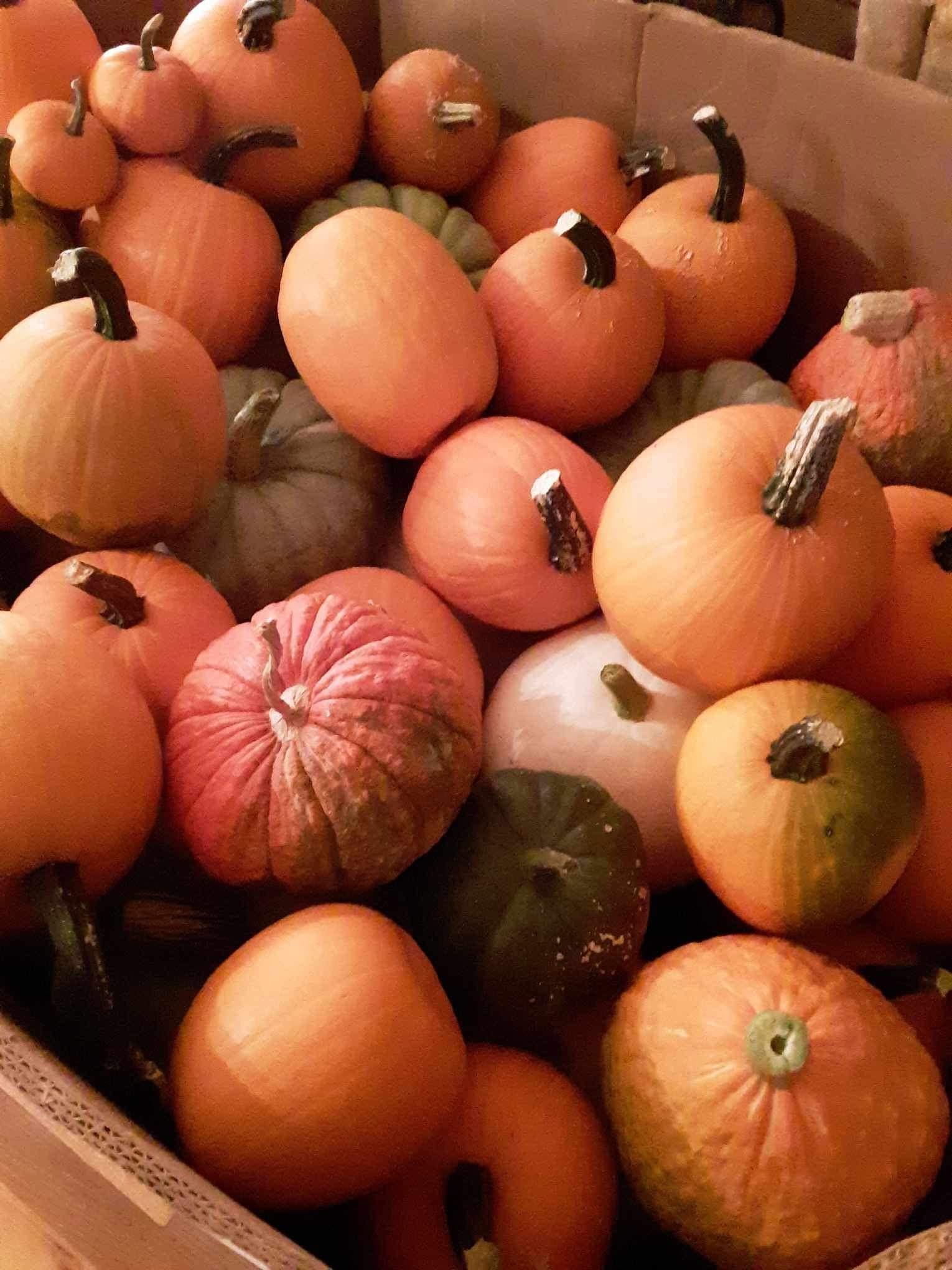 Seasonal